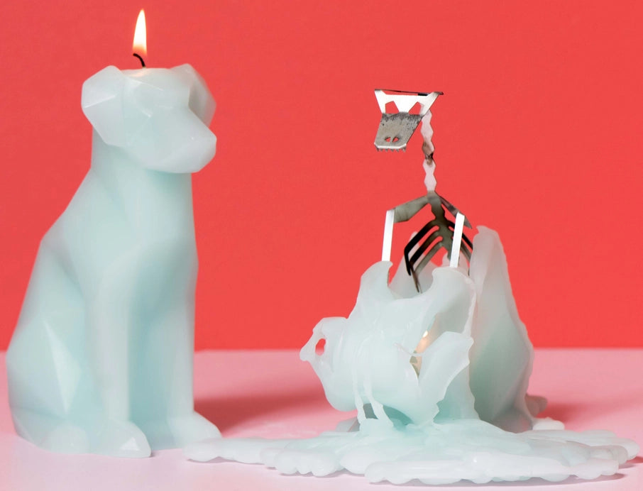 Pyropet Voffi Dog Skeleton Candle - Aqua