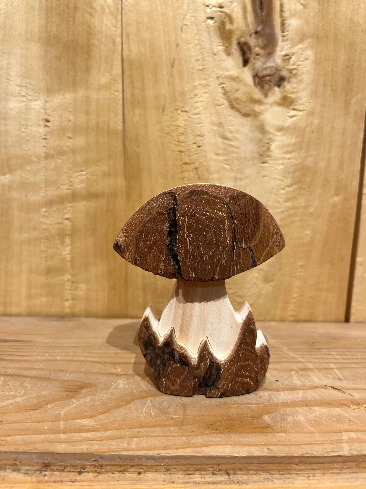 Bark Mushroom - Medium