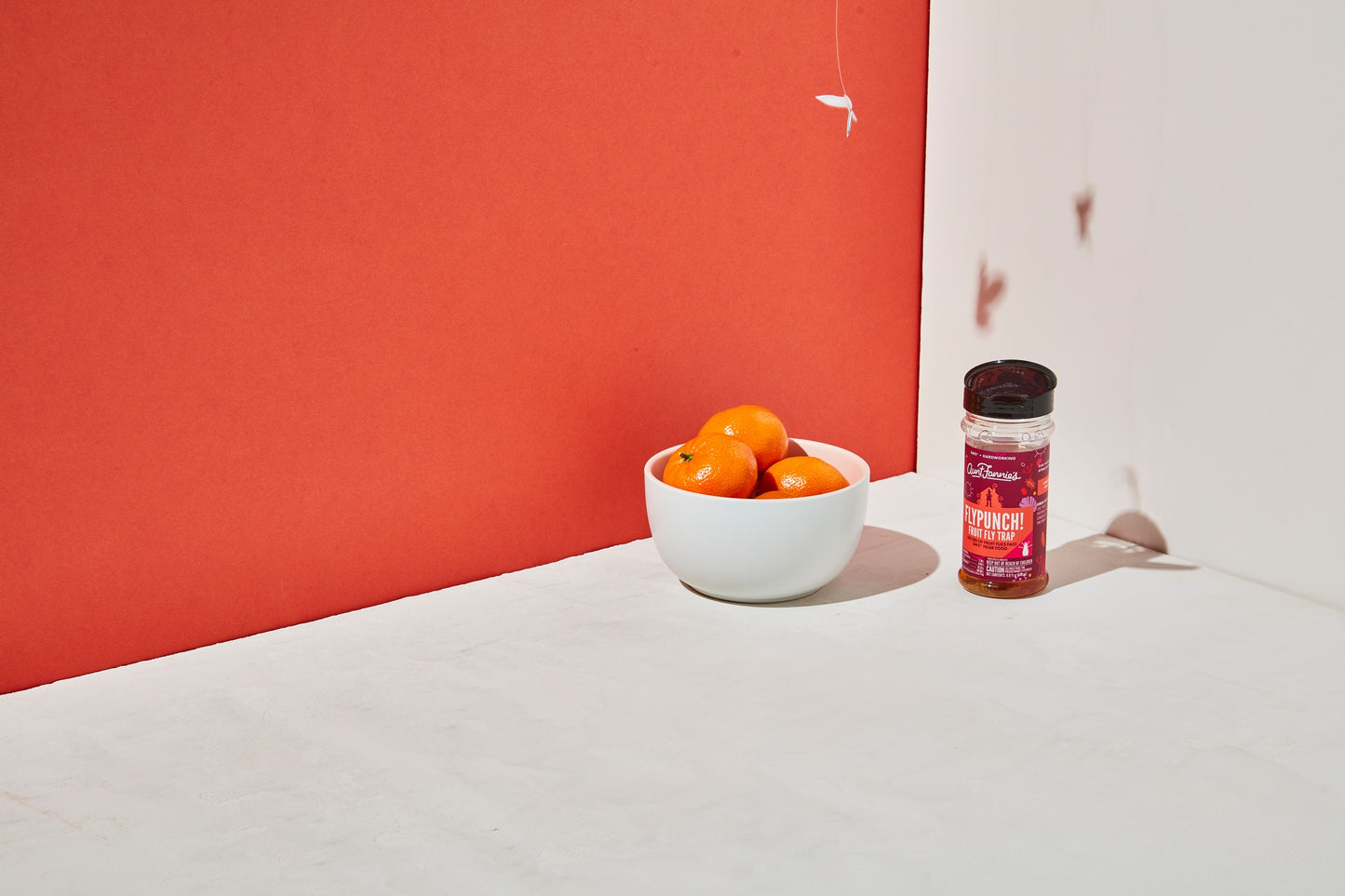 Flypunch! Fruit Fly Trap