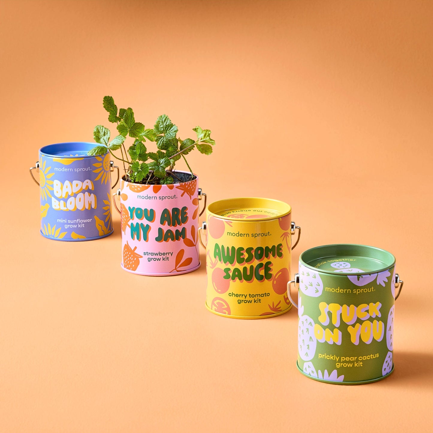 Complimentary Color Grow Kits - Awesome Sauce