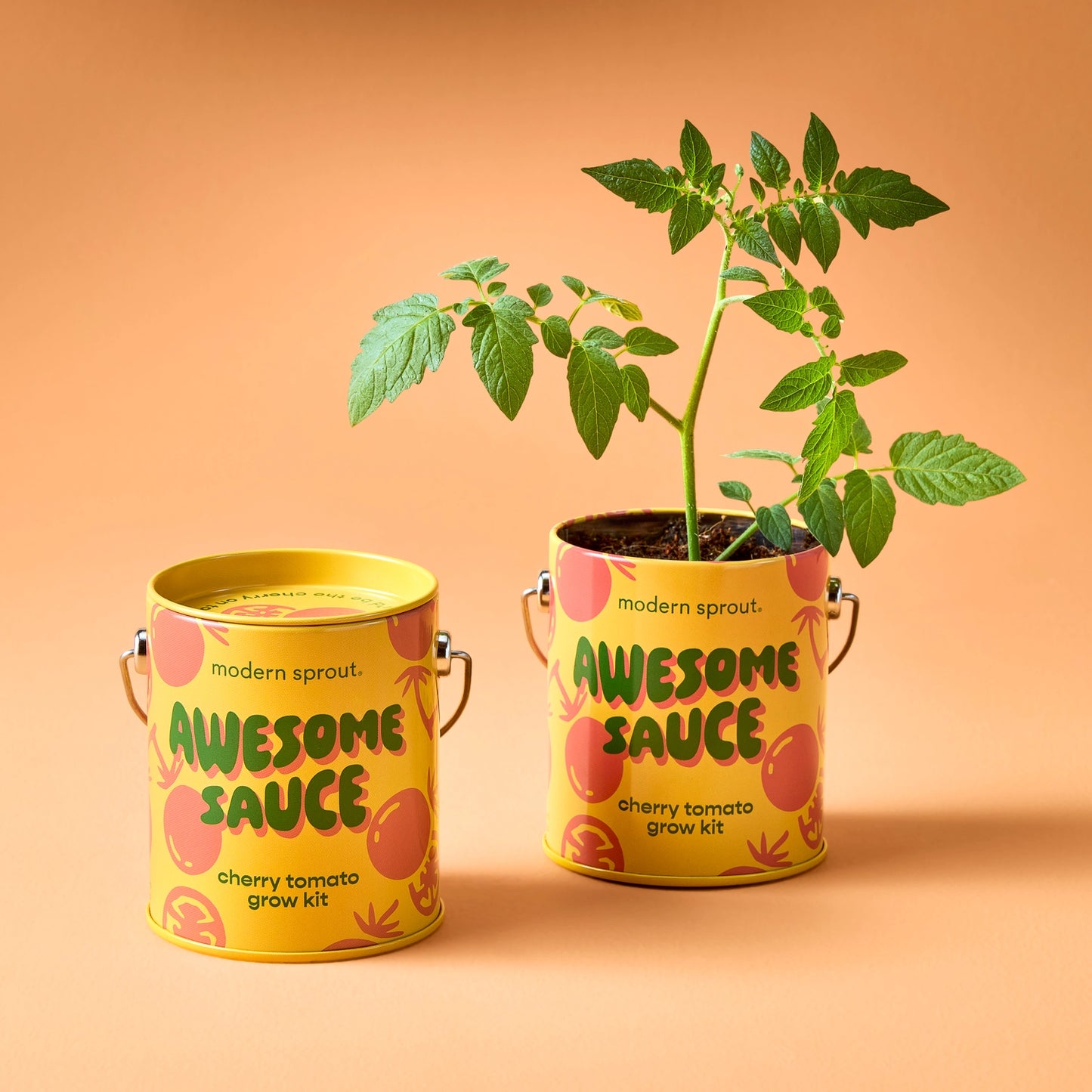 Complimentary Color Grow Kits - Awesome Sauce