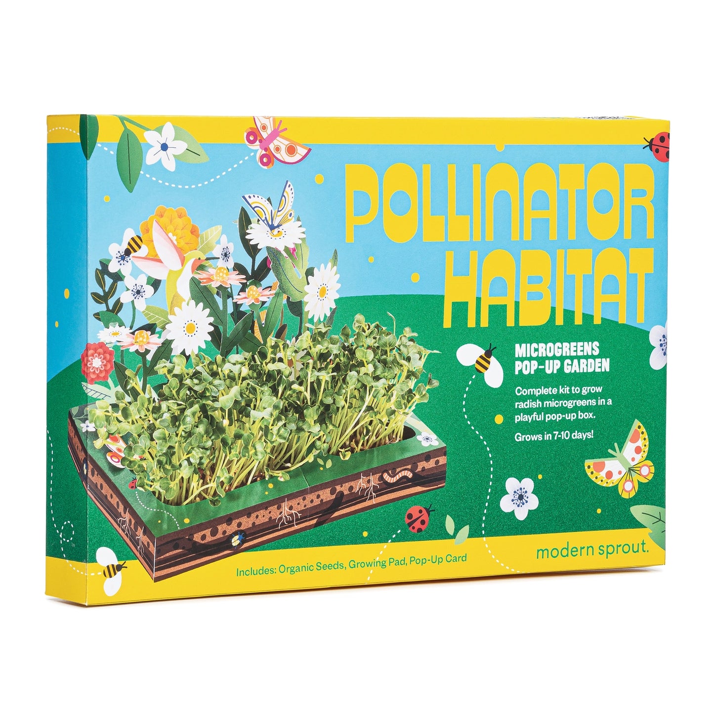 Microgreens Diy Kit - Pollinator Habitat BEST BY: December 31, 2024