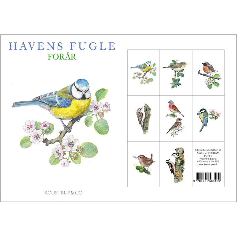 8 Cards with Envelopes - Spring Garden Birds