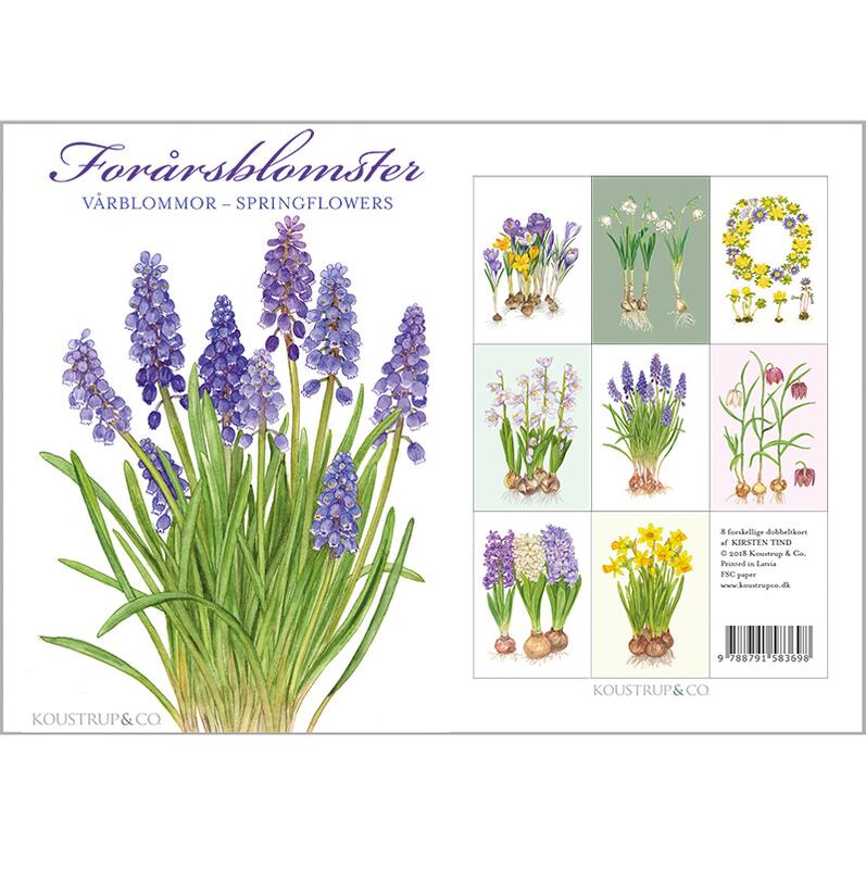 8 Cards with Envelopes - Spring Flowers