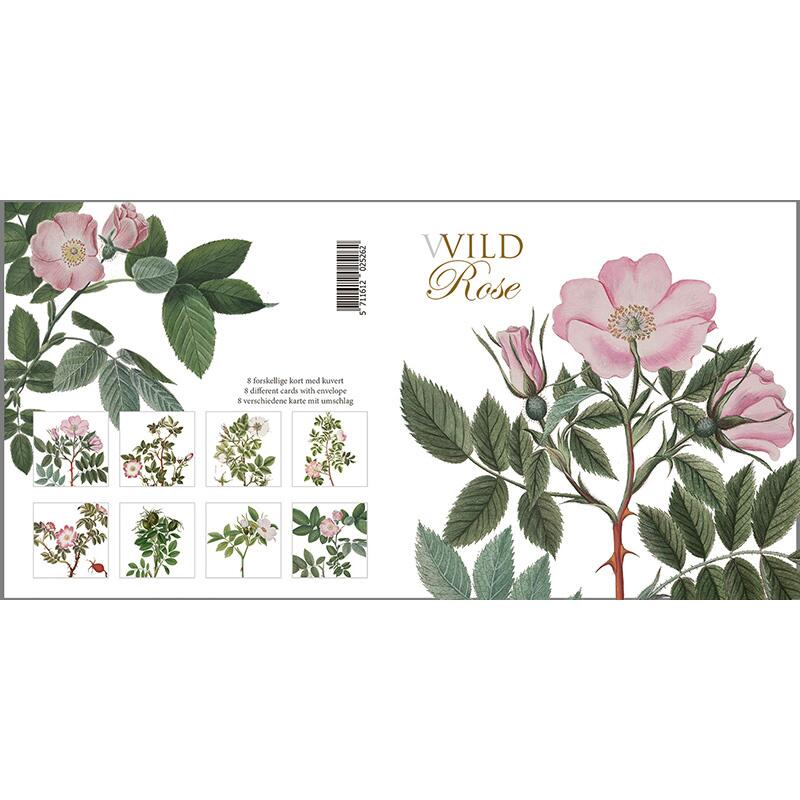 8 Square Cards with Envelopes - Wild Rose