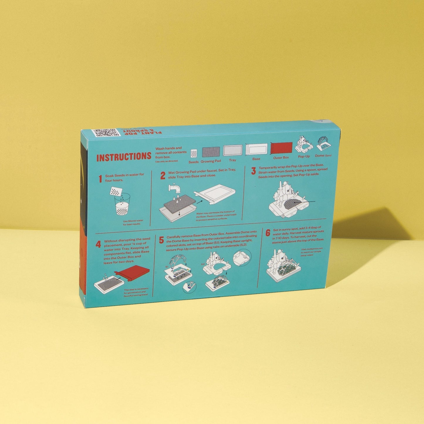 Microgreens Diy Kit - Out of This World