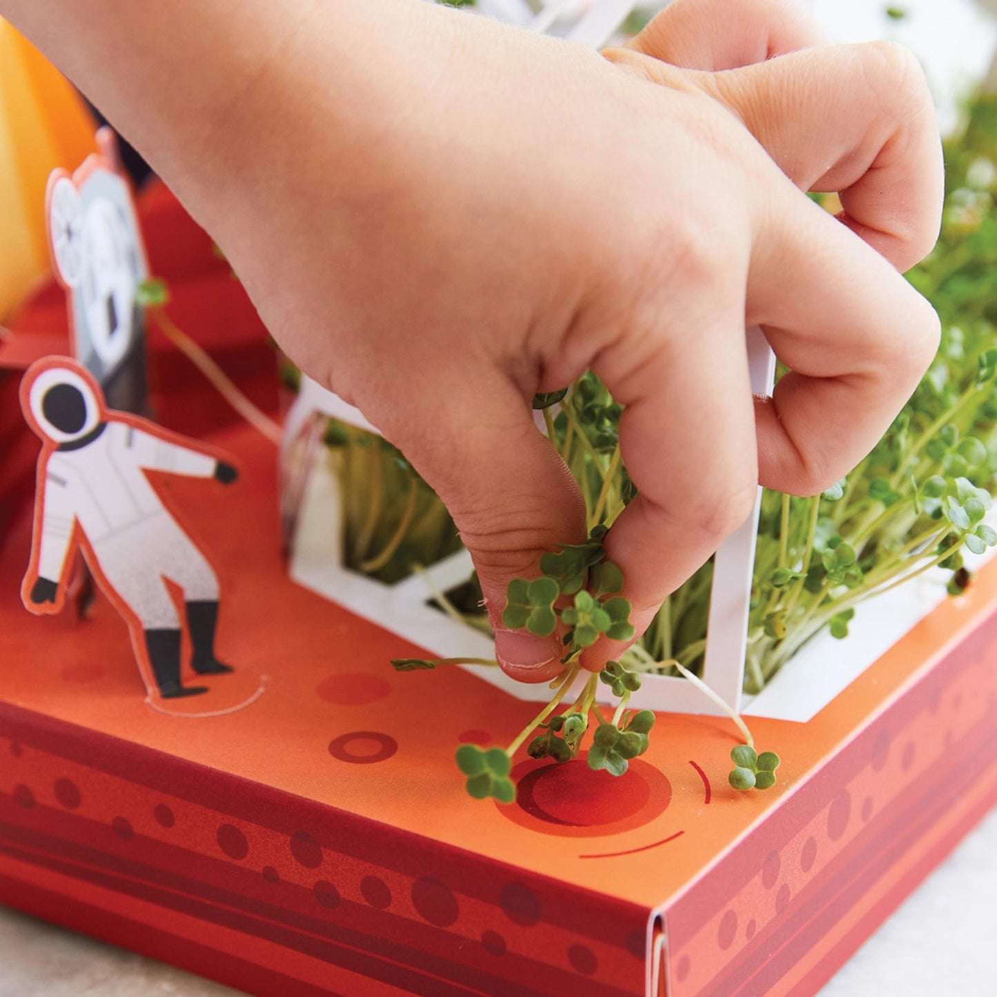 Microgreens Diy Kit - Out of This World