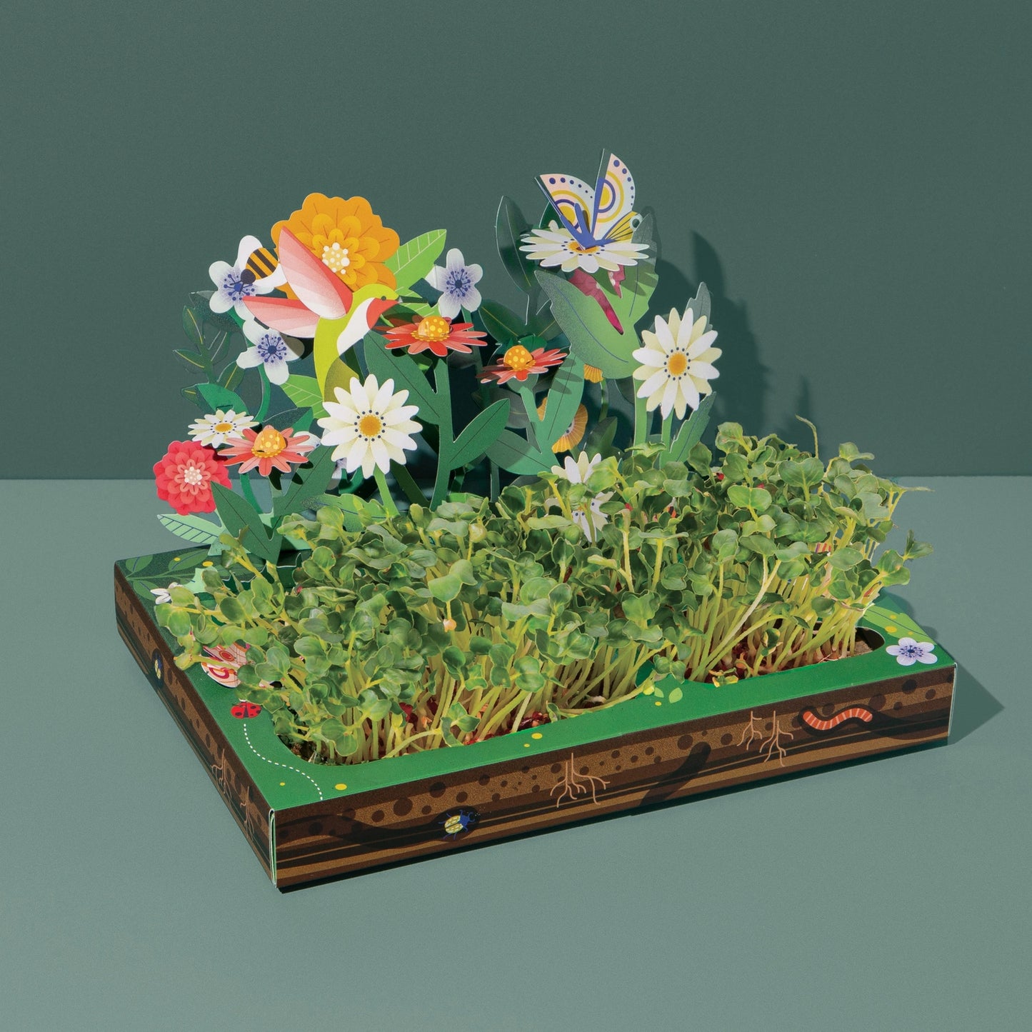 Microgreens Diy Kit - Pollinator Habitat BEST BY: December 31, 2024
