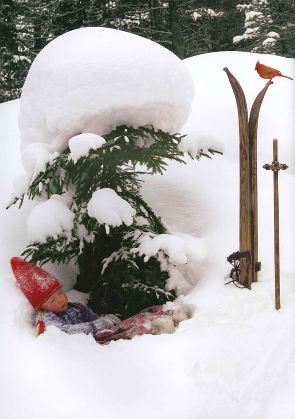 Reindeer Wish