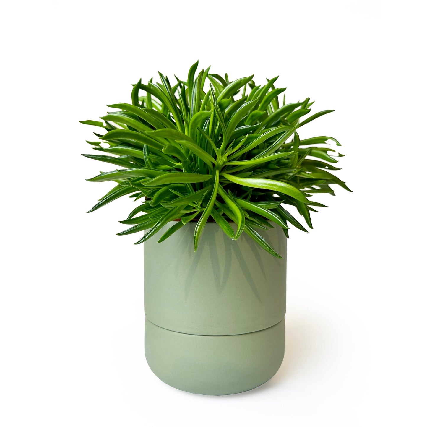 Ryan Self-Watering Plant Pot - Olive