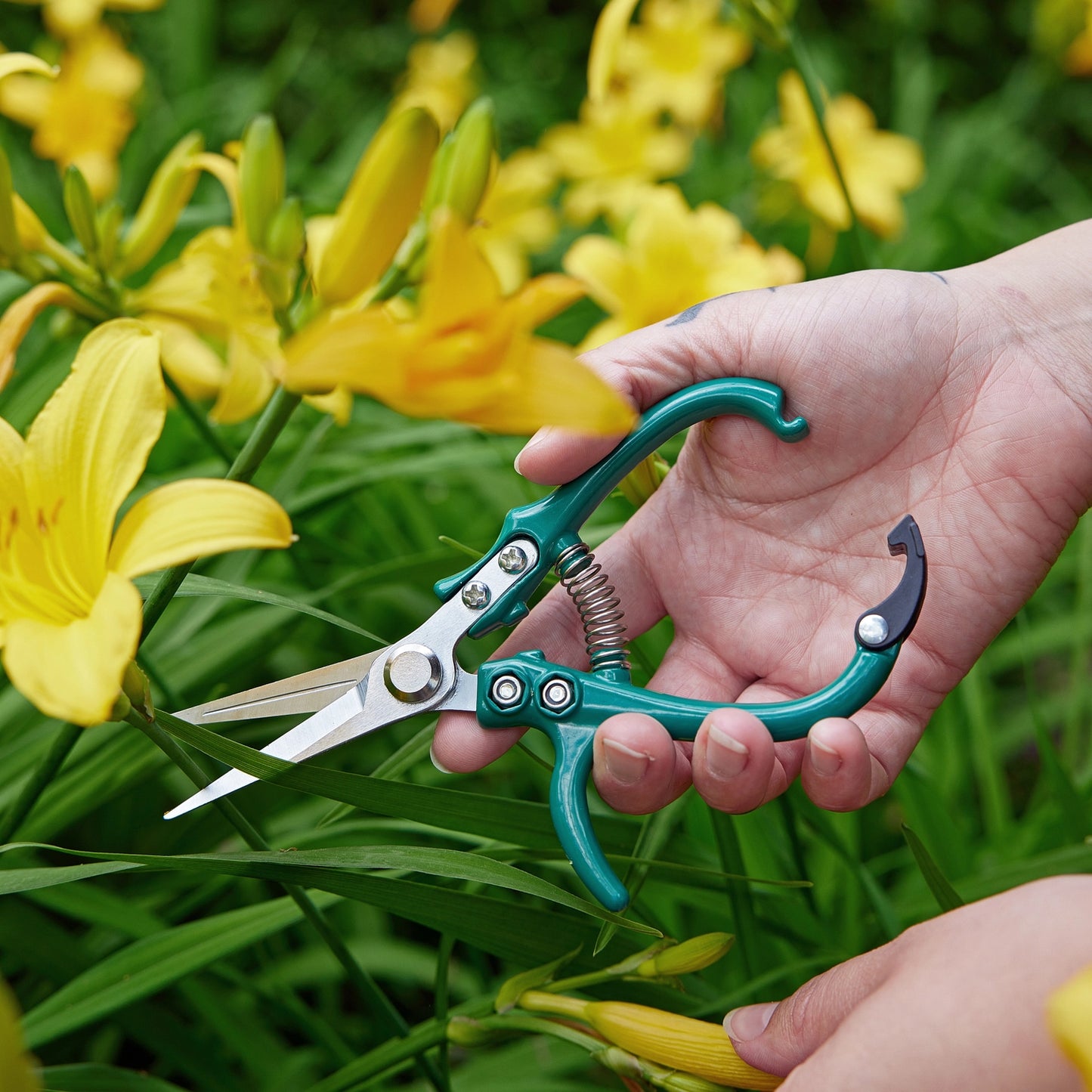 Garden Shears - Ocean