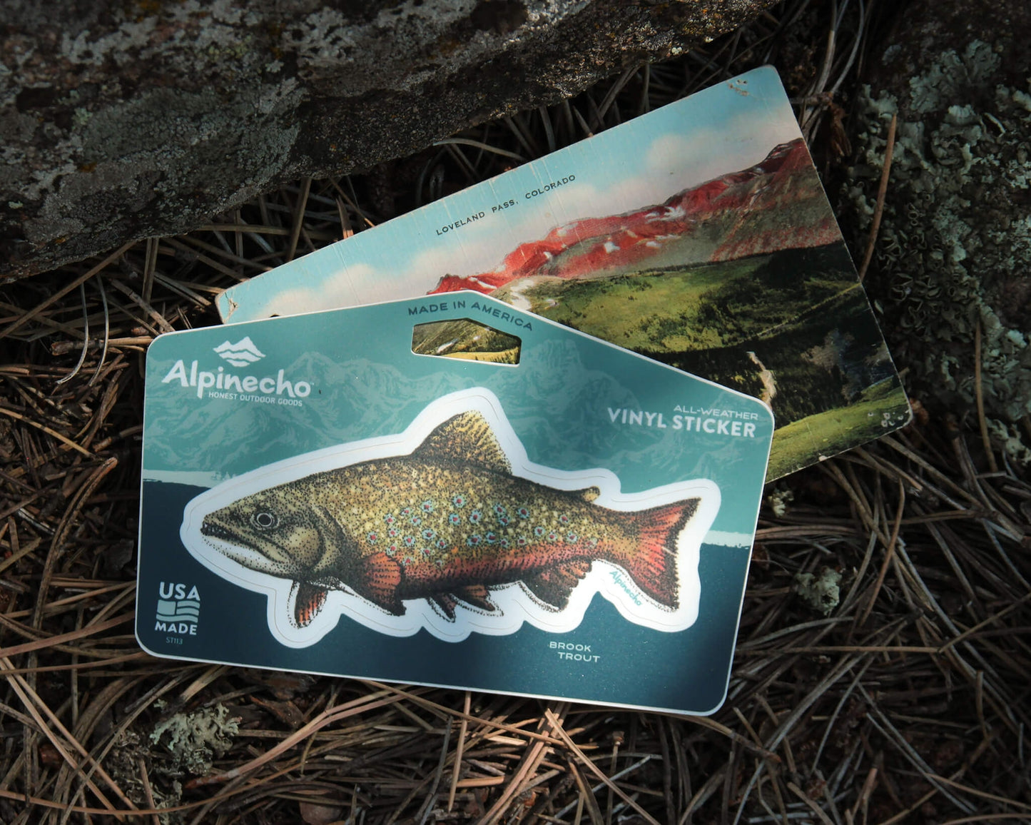 Brook Trout Sticker