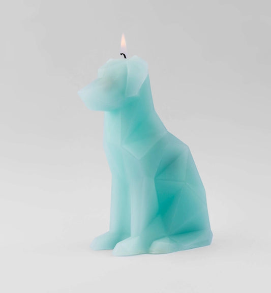 Pyropet Voffi Dog Skeleton Candle - Aqua