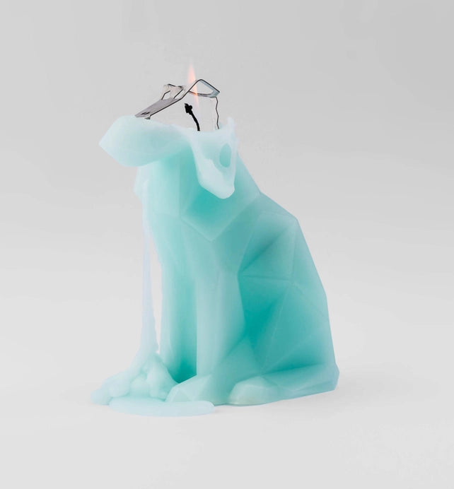 Pyropet Voffi Dog Skeleton Candle - Aqua