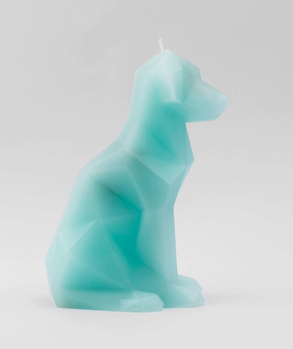 Pyropet Voffi Dog Skeleton Candle - Aqua