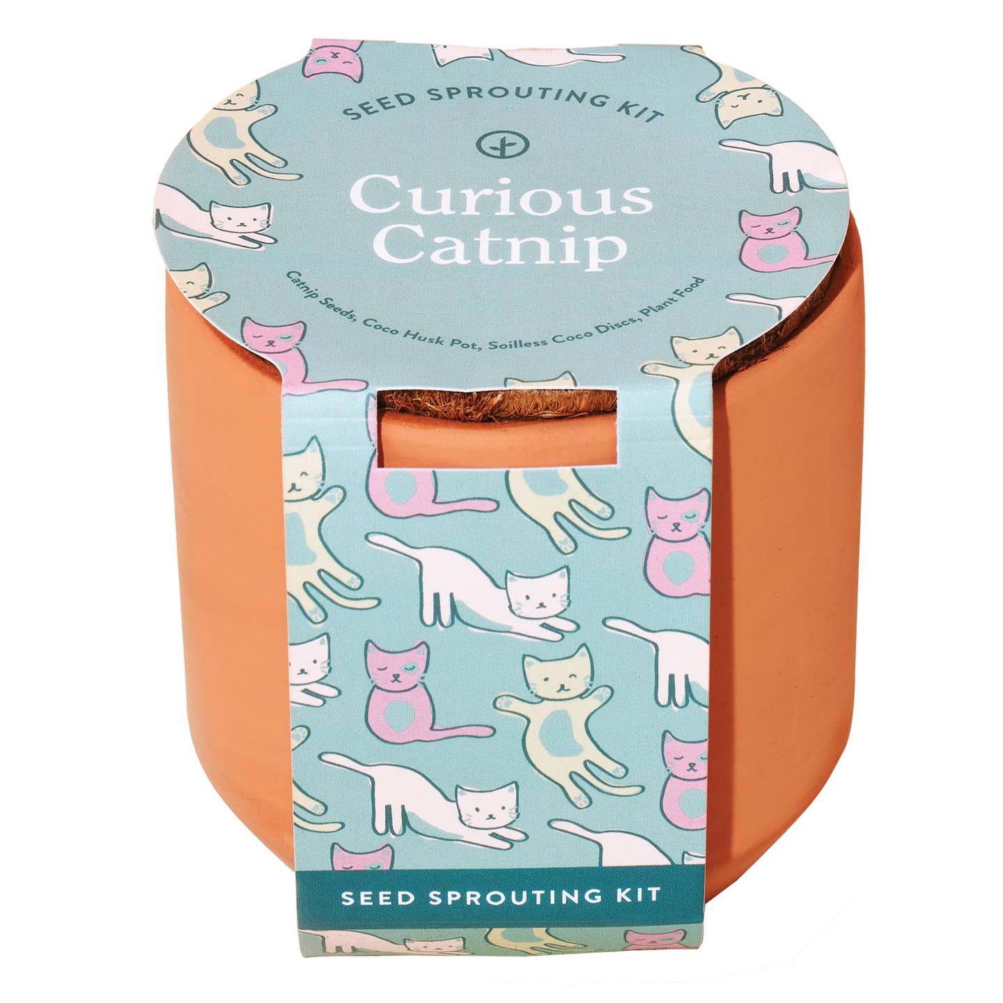 Tiny Terracotta Pet Grow Kits - Curious Catnip