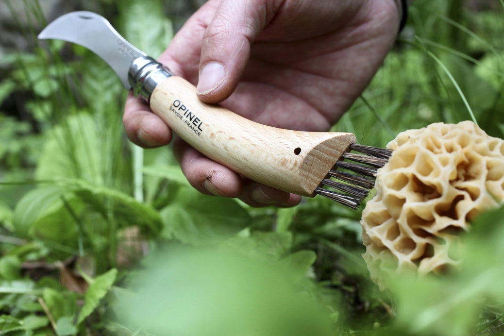 Opinel - No.08 Mushroom Knife with Brush