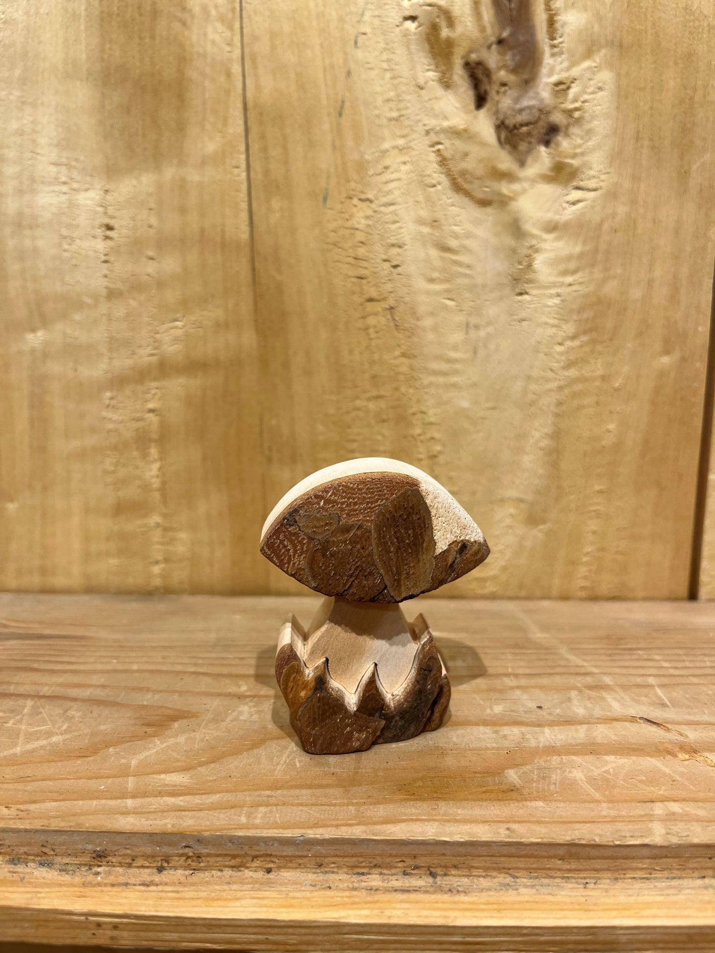 Bark Mushroom - Small