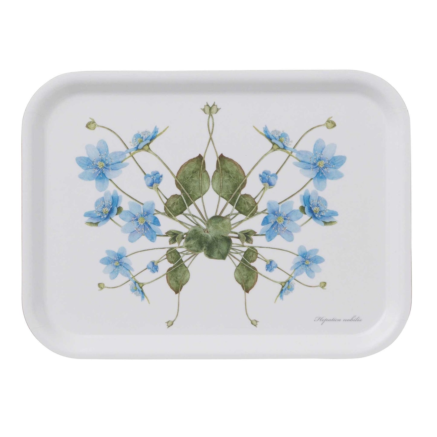 Serving Tray - Anemone