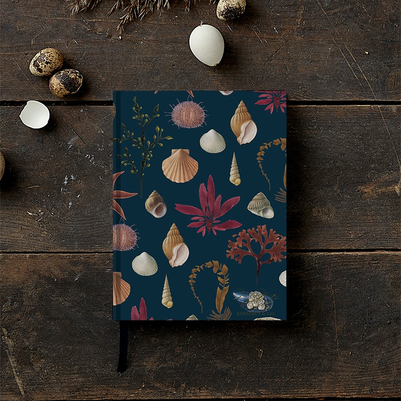 E Shell Notebook Shells Notebook – Drøm