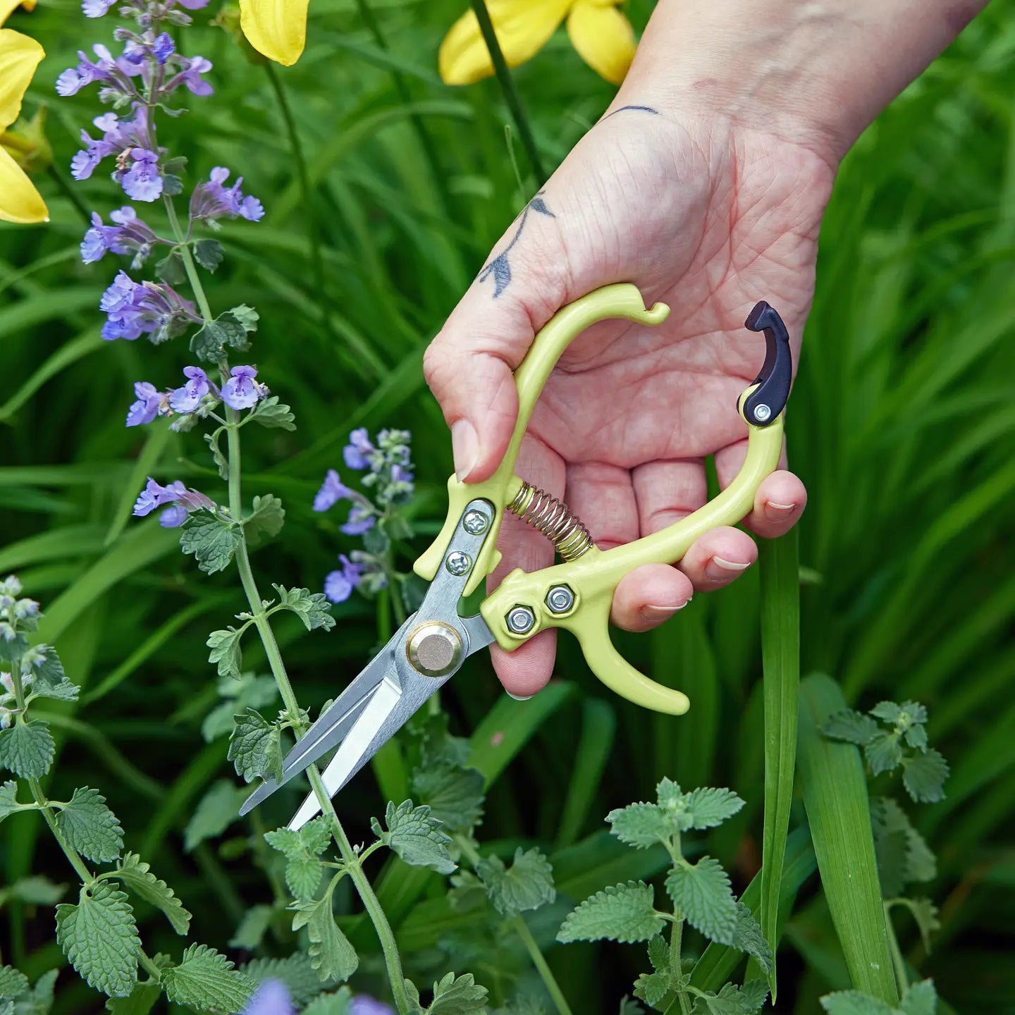 Garden Shears - Chartreuse