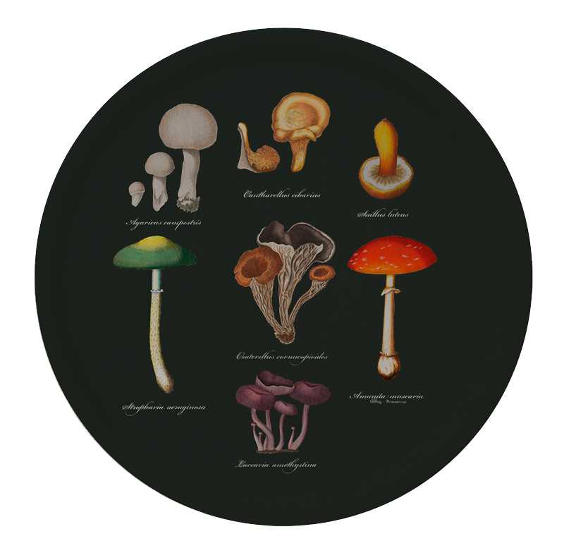 Round Tray - Mushroom