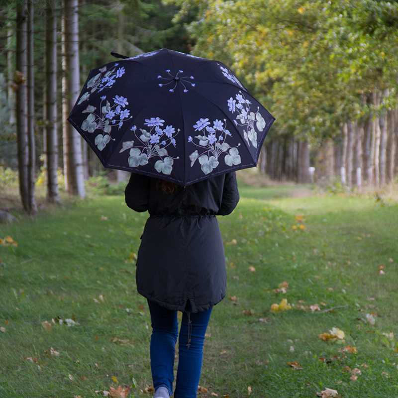 Umbrella with Bamboo Handle - Blue Anemone