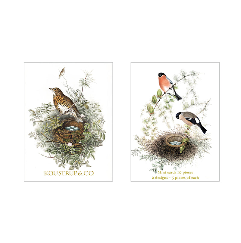 Koustrup & Co 10 Mini Cards - Song Thrush & Bullfinch