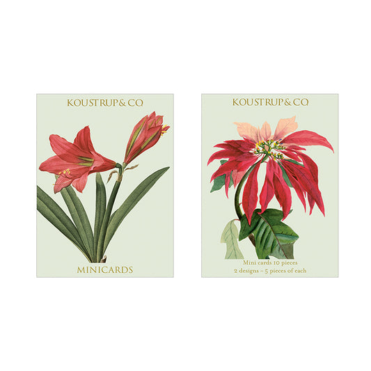 Koustrup & Co 10 Mini Cards - Poinsettia