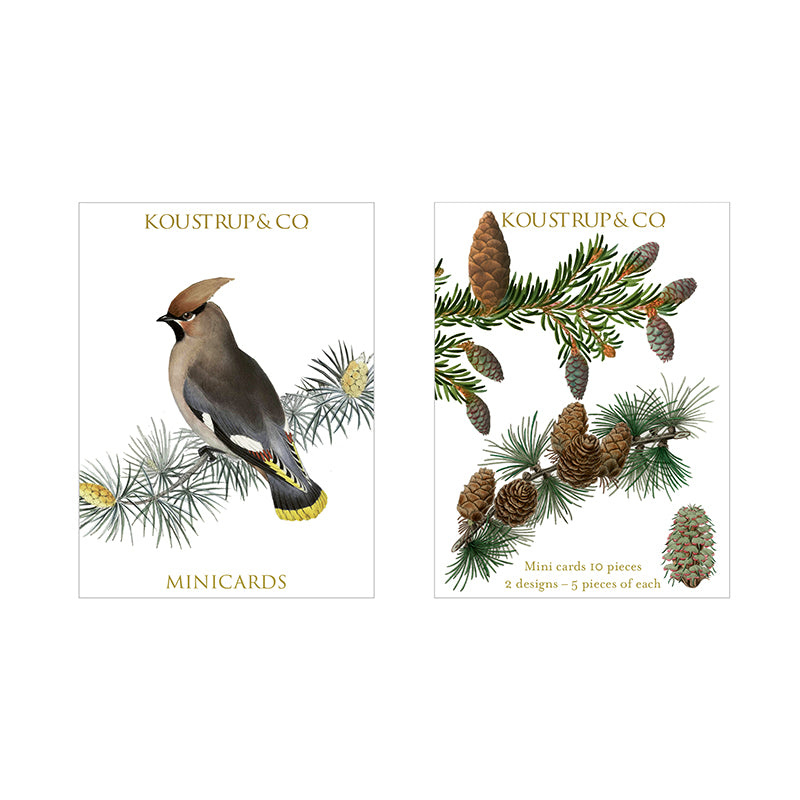 Koustrup & Co 10 Mini Cards - Bohemian Waxwing