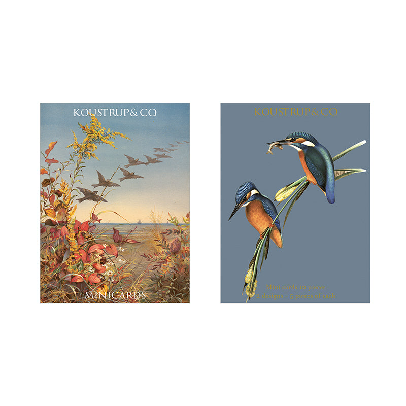 Koustrup & Co 10 Mini Cards - Kingfisher