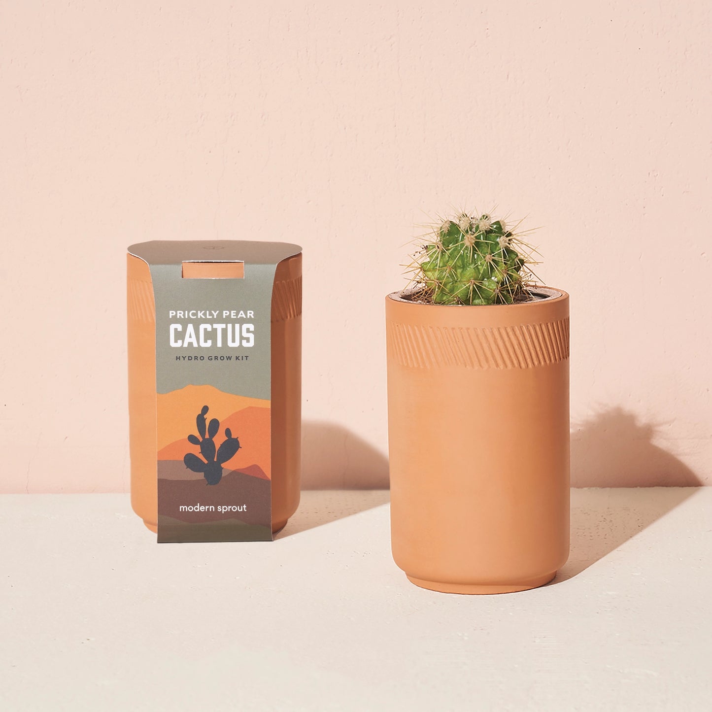 Terracotta Grow Kits - Prickly Pear Cactus