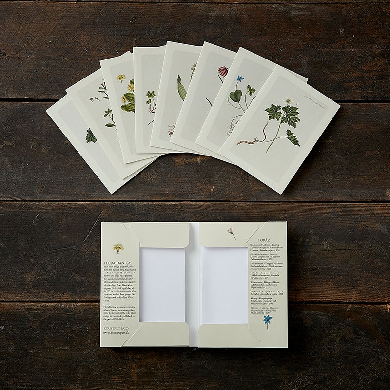 8 Cards with Envelopes - Spring Flora Danica