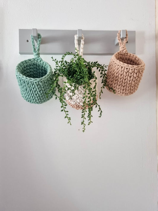 Hanging Baskets - Aloe