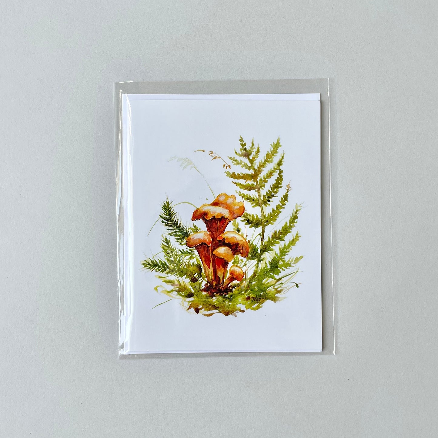 Greeting Cards - Chanterelle Mushroom