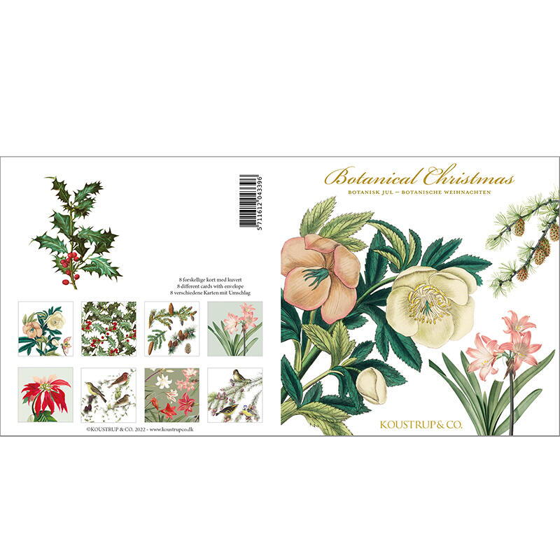 8 Square Cards with Envelopes - Botanical Christmas