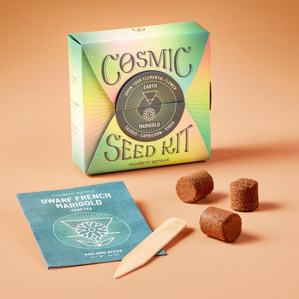 Cosmic Seed Kit - Earth