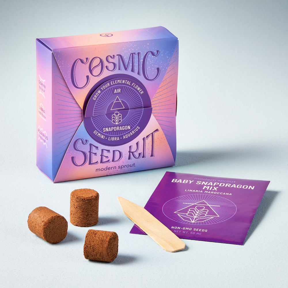 Cosmic Seed Kit - Air