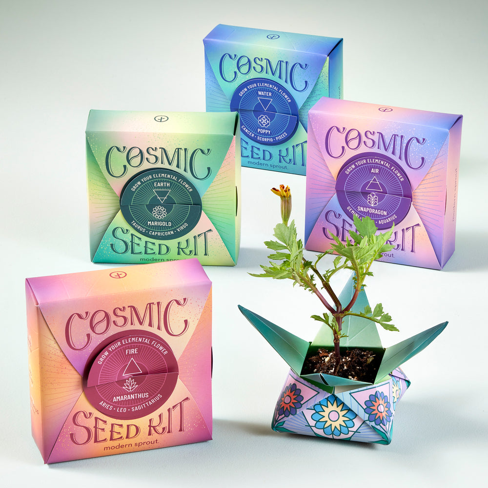 Cosmic Seed Kit - Earth