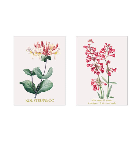 Koustrup & Co 10 Mini Cards - Honeysuckle