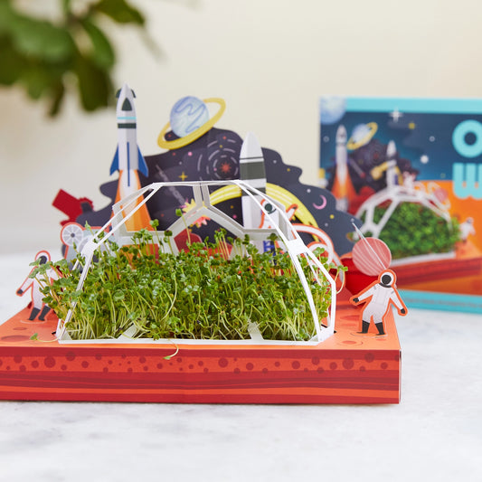 Microgreens Diy Kit - Out of This World