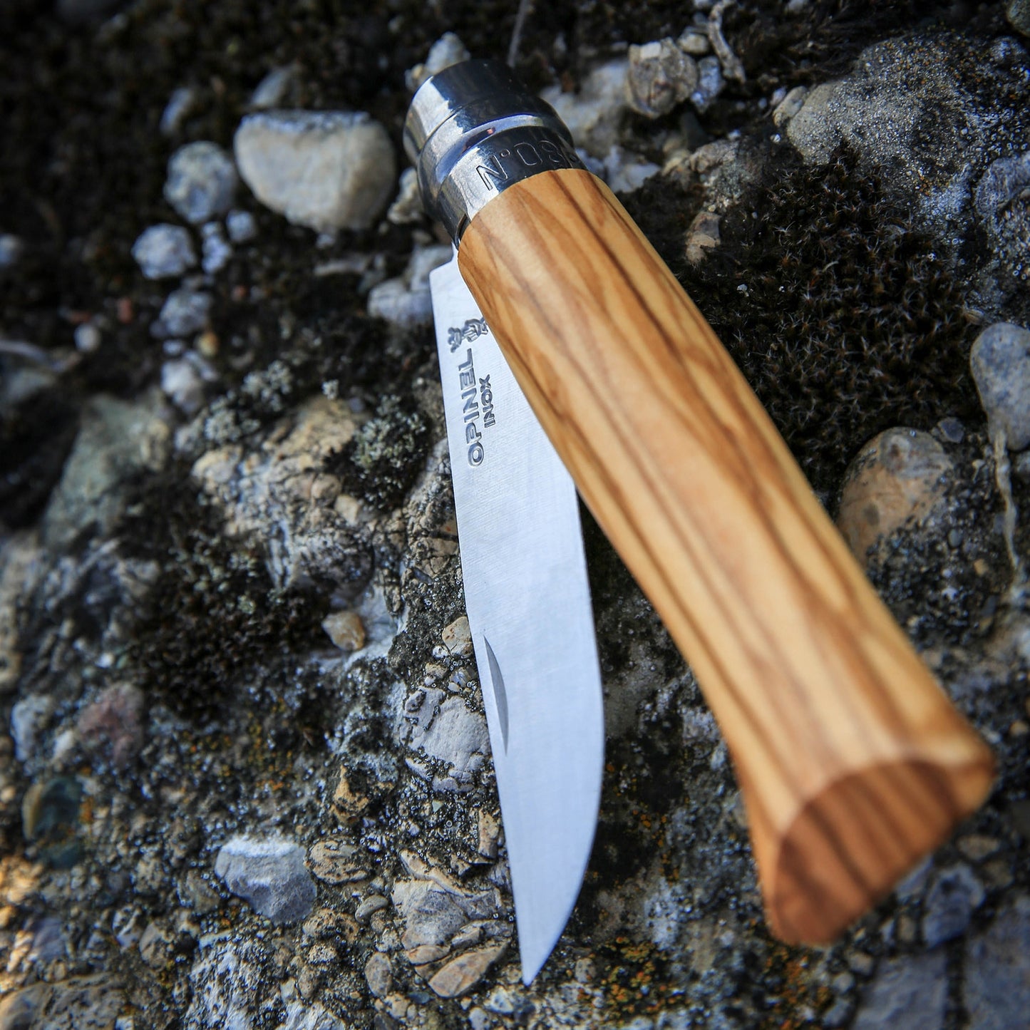 Opinel No.08 Olive Wood Folding Knife