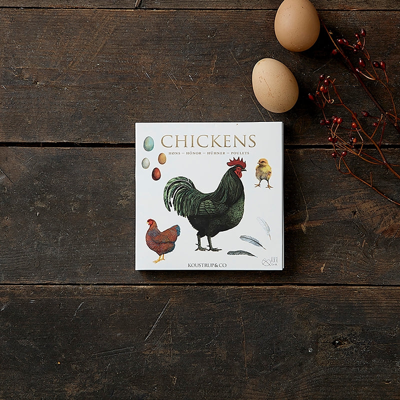 8 Square Cards with Envelopes - Chickens