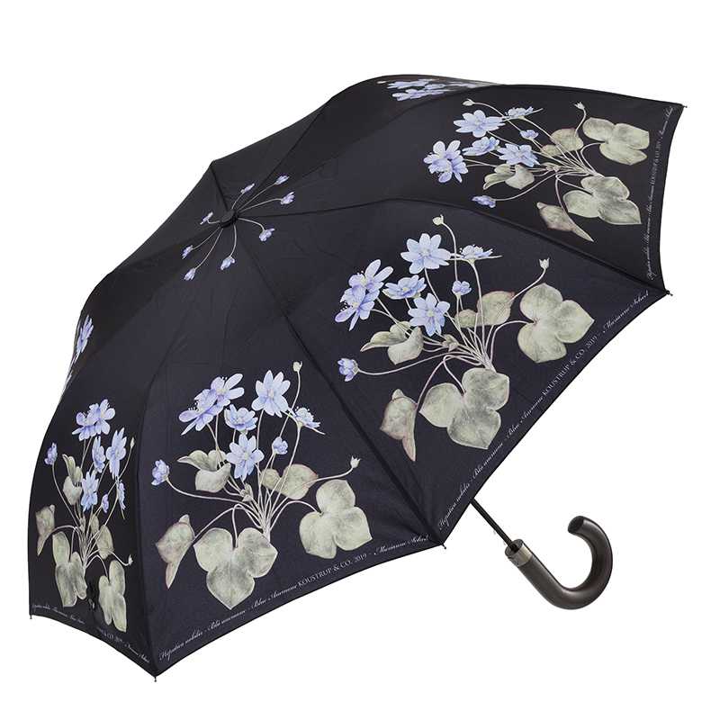 Umbrella with Bamboo Handle - Blue Anemone