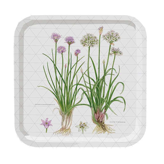 Square Tray - Herbs