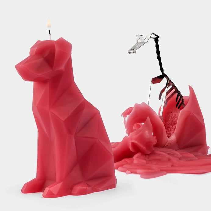 Pyropet Voffi Dog Skeleton Candle - Berry