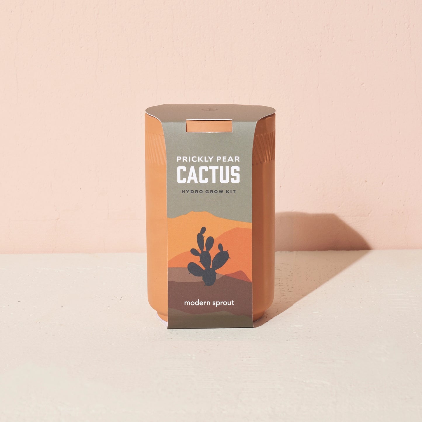 Terracotta Grow Kits - Prickly Pear Cactus