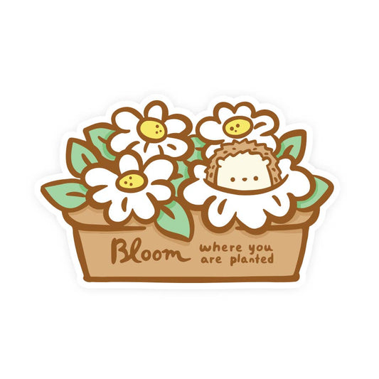 Bloom Where You Are Planted Vinyl Sticker