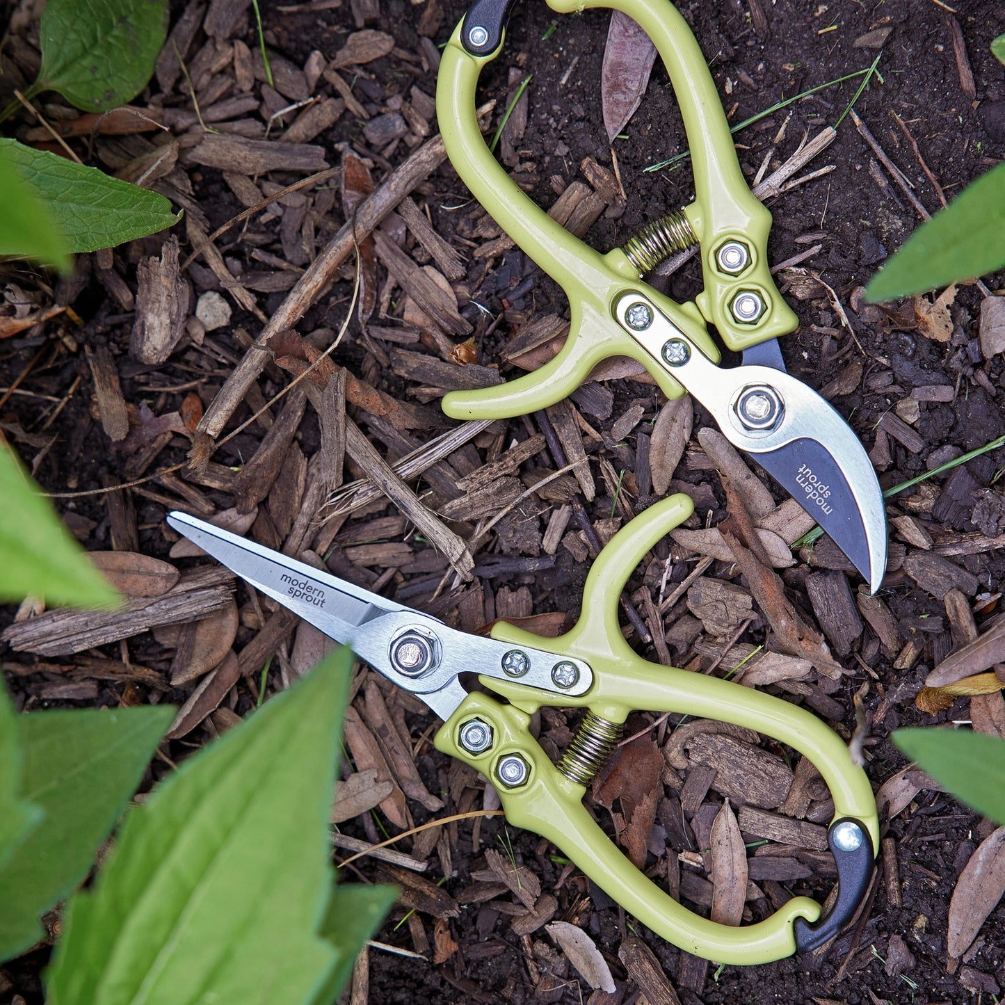 Garden Shears - Chartreuse