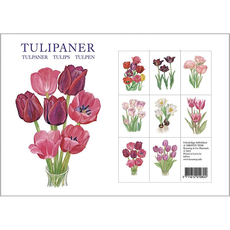 8 Cards with Envelopes - Tulips